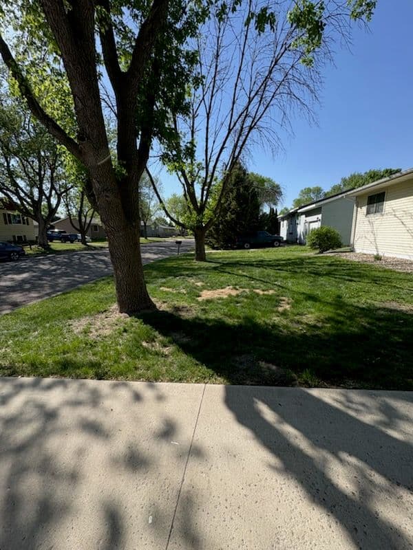 Transforming Yards in Marshall MN